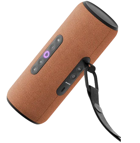 Умная портативная колонка Яндекс Станция Стрит, Оранжевый