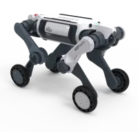 Роботы‑собаки