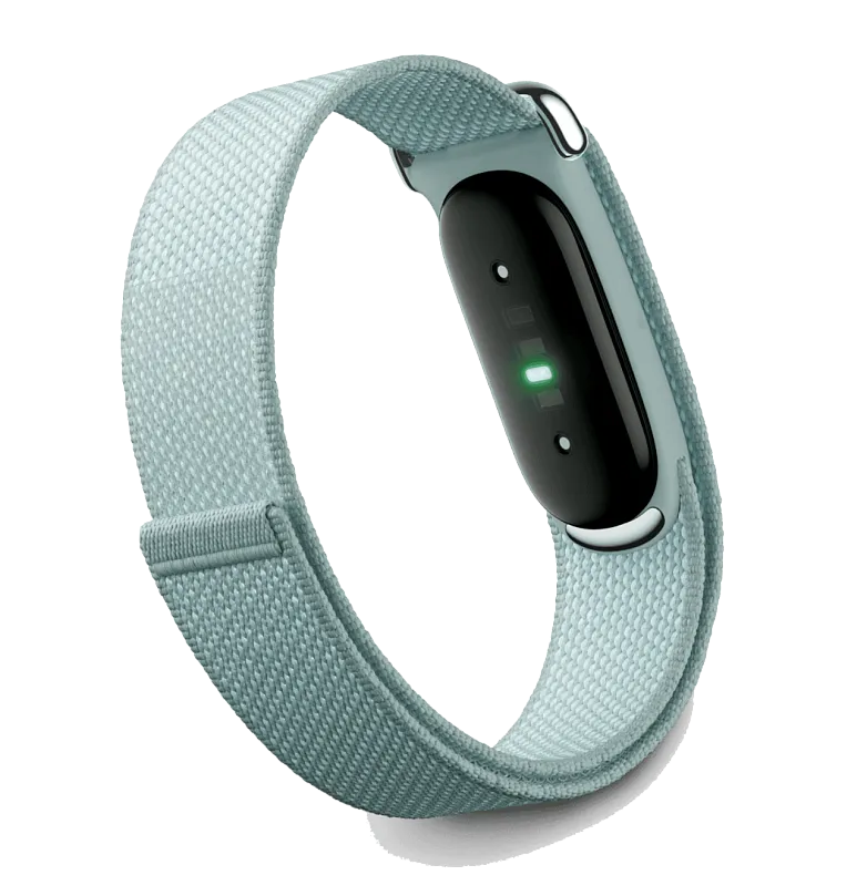 Фитнес-трекер Google Fitbit Air, светло-серый 