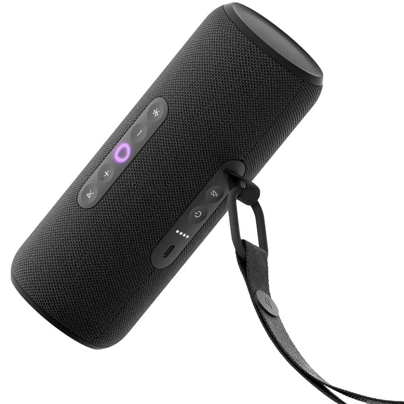 Умная портативная колонка Яндекс Станция Стрит, Черный