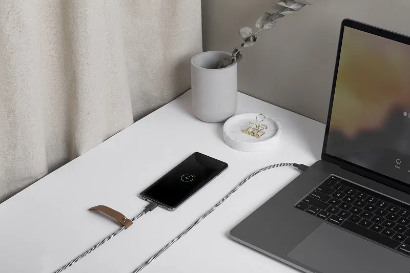 Кабель зарядный Native Union USB-C - USB-C, 60Вт, 1,2м, зебра