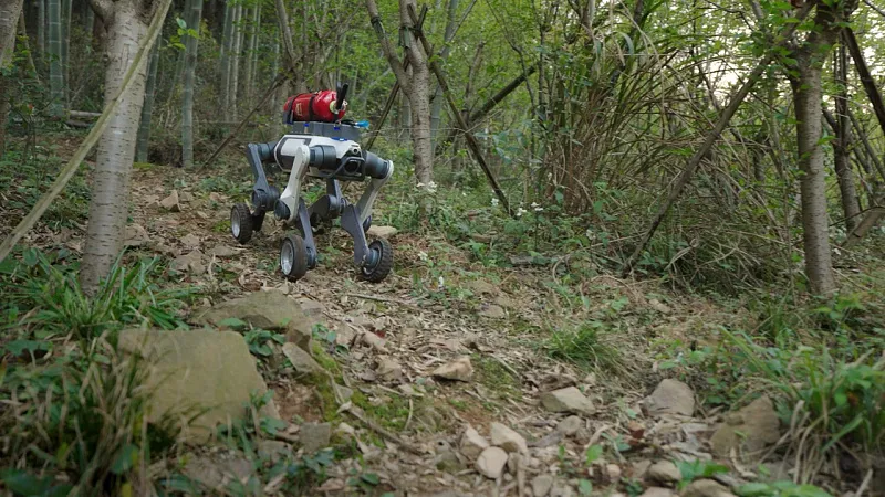 Робот-собака LYNX M20 PRO