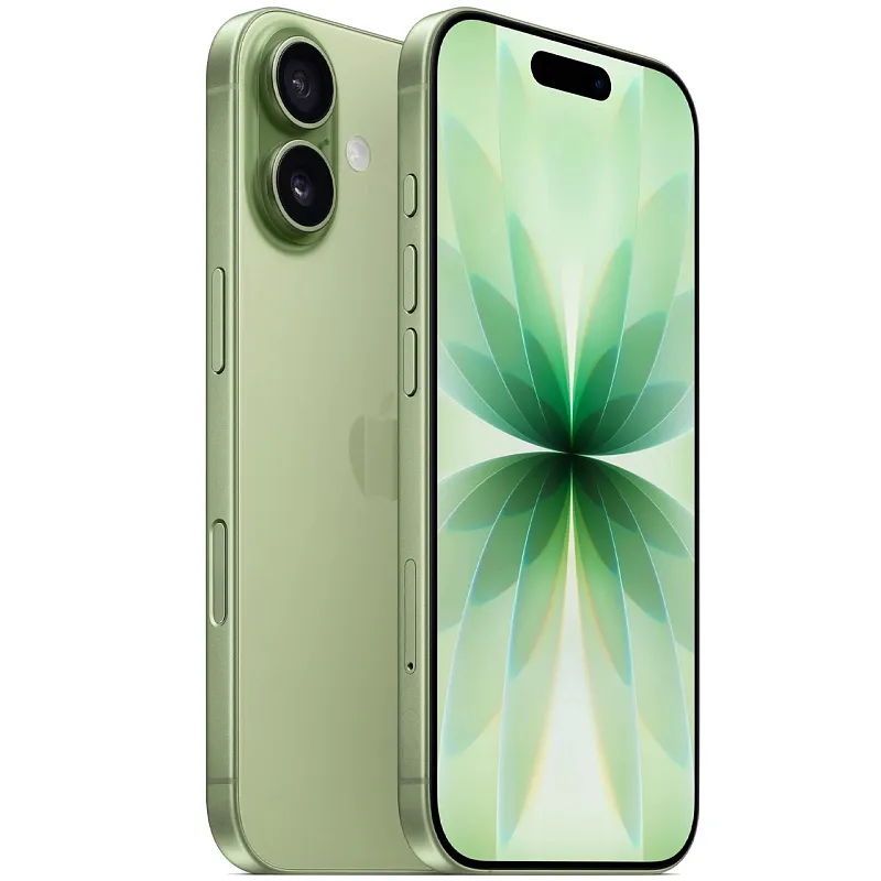 Apple iPhone 17, 256 ГБ, «шалфей» (eSIM)