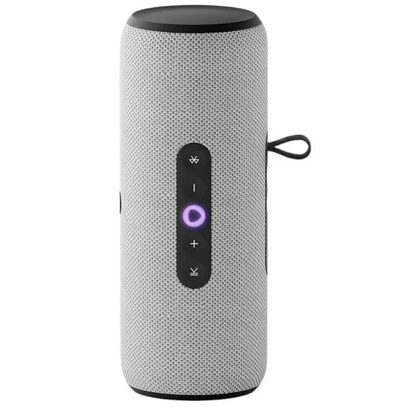 Умная портативная колонка Яндекс Станция Стрит, Серый